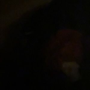 Meet your Posher, Alan